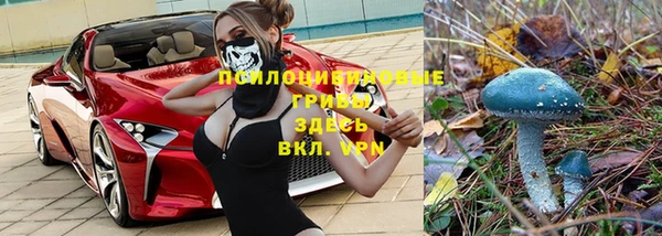 молекула духа Карталы