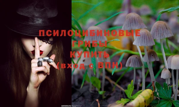 СК Карпинск