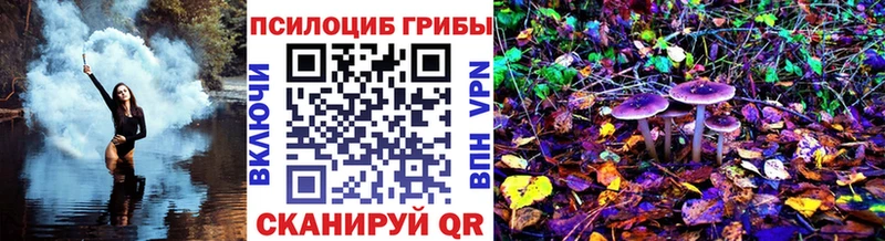 Купить где Беслан Псилоцибиновые грибы прущие грибы